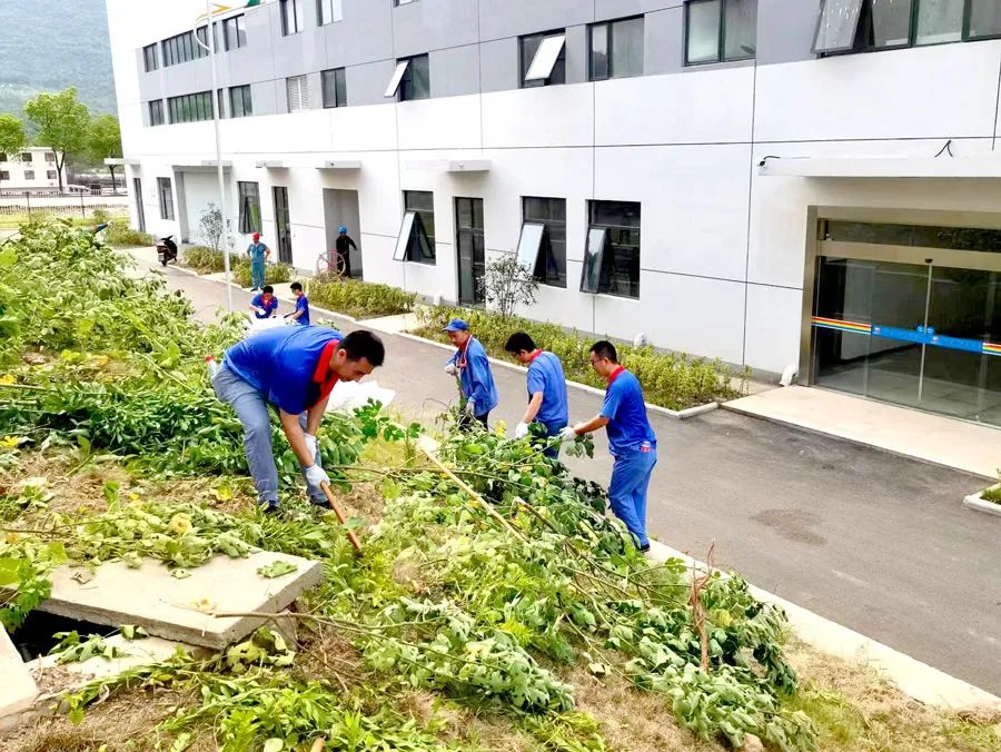 风韵丰满熟妇啪啪区老熟熟女