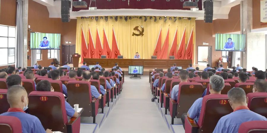 风韵丰满熟妇啪啪区老熟熟女