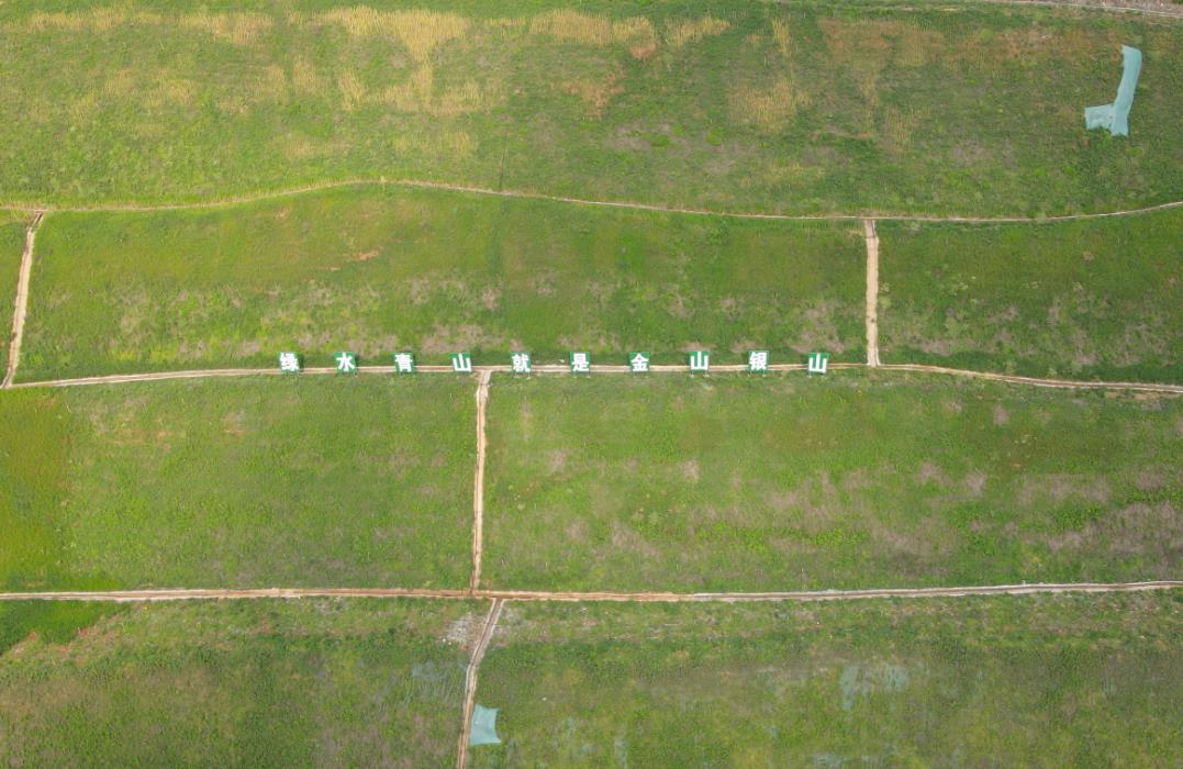 风韵丰满熟妇啪啪区老熟熟女