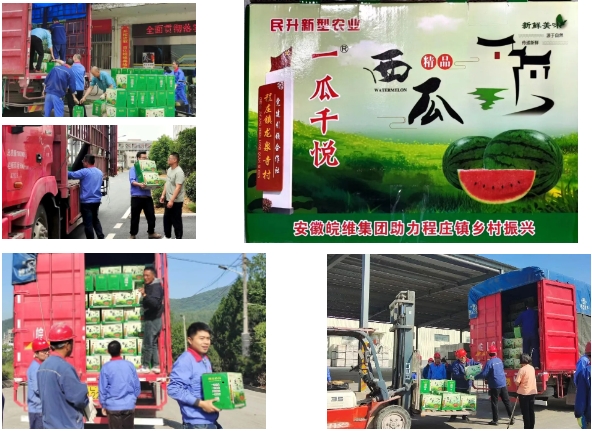 风韵丰满熟妇啪啪区老熟熟女