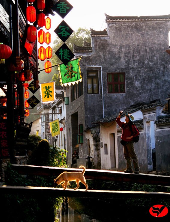 风韵丰满熟妇啪啪区老熟熟女