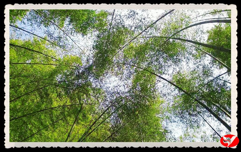 风韵丰满熟妇啪啪区老熟熟女