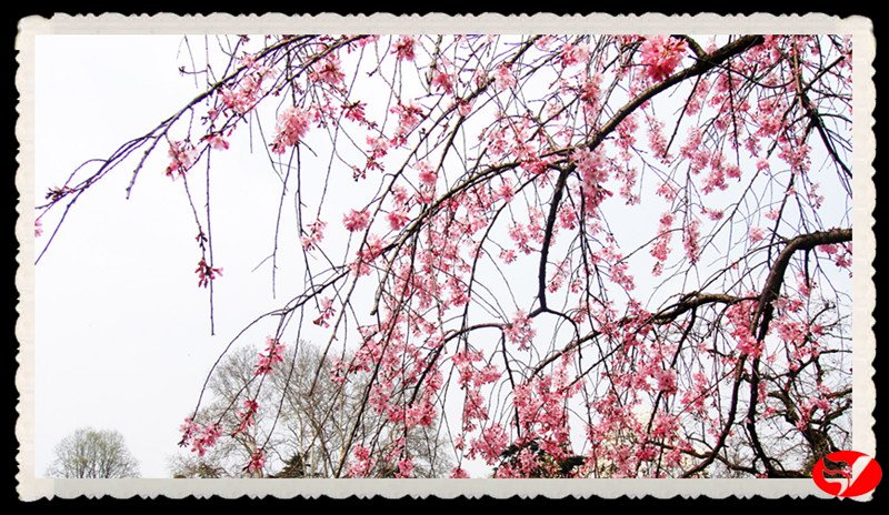 风韵丰满熟妇啪啪区老熟熟女