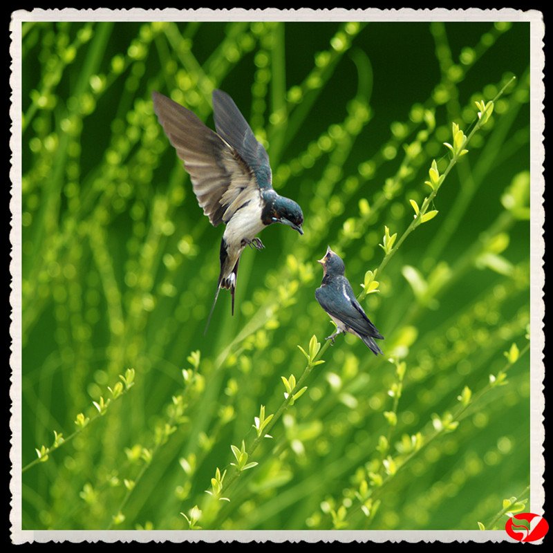 风韵丰满熟妇啪啪区老熟熟女