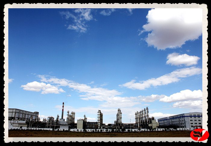 风韵丰满熟妇啪啪区老熟熟女