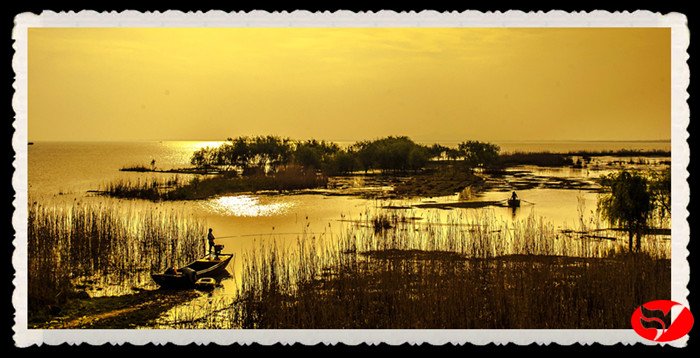 风韵丰满熟妇啪啪区老熟熟女