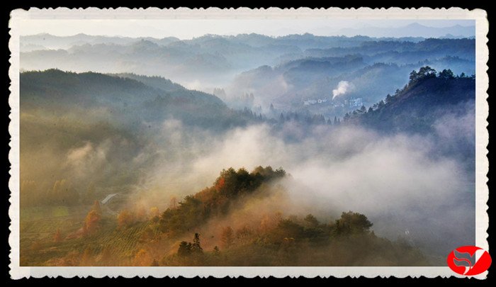 风韵丰满熟妇啪啪区老熟熟女