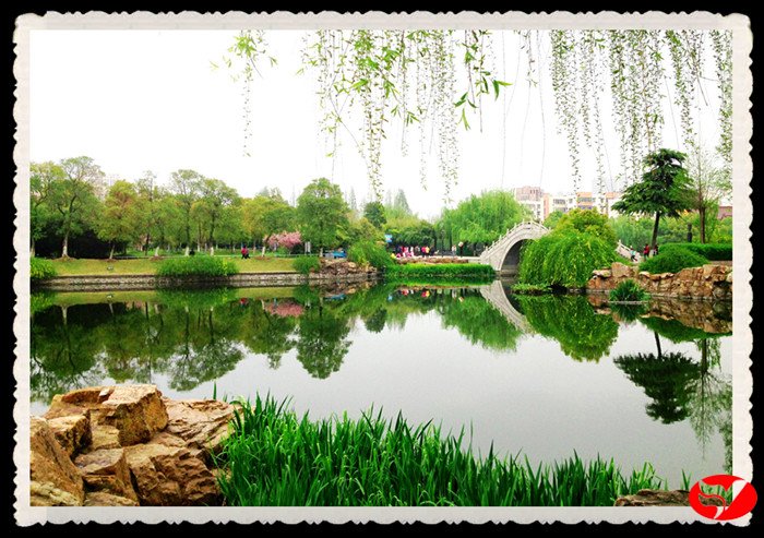 风韵丰满熟妇啪啪区老熟熟女