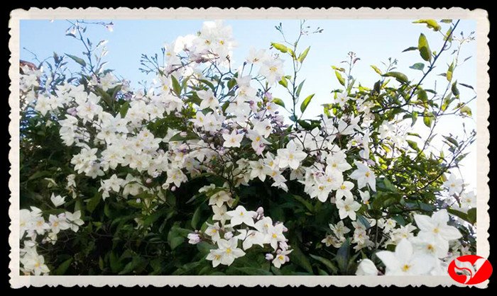 风韵丰满熟妇啪啪区老熟熟女