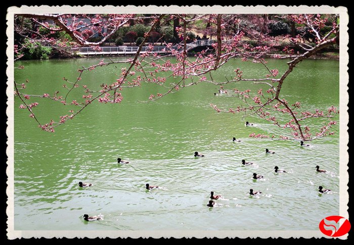 风韵丰满熟妇啪啪区老熟熟女