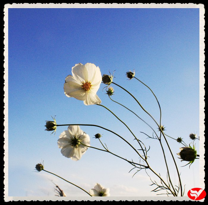 风韵丰满熟妇啪啪区老熟熟女