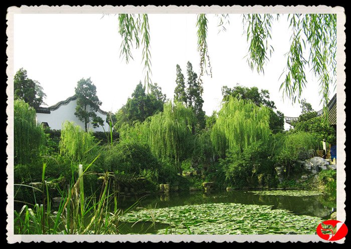 风韵丰满熟妇啪啪区老熟熟女