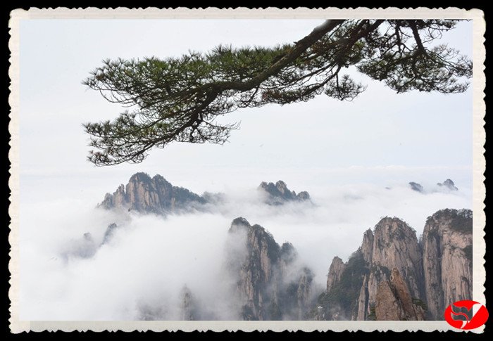 风韵丰满熟妇啪啪区老熟熟女