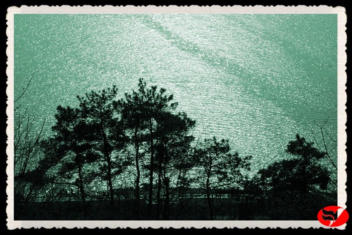 风韵丰满熟妇啪啪区老熟熟女