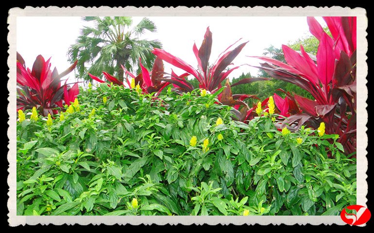 风韵丰满熟妇啪啪区老熟熟女