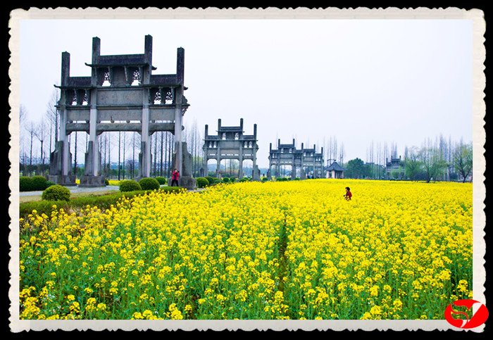 风韵丰满熟妇啪啪区老熟熟女