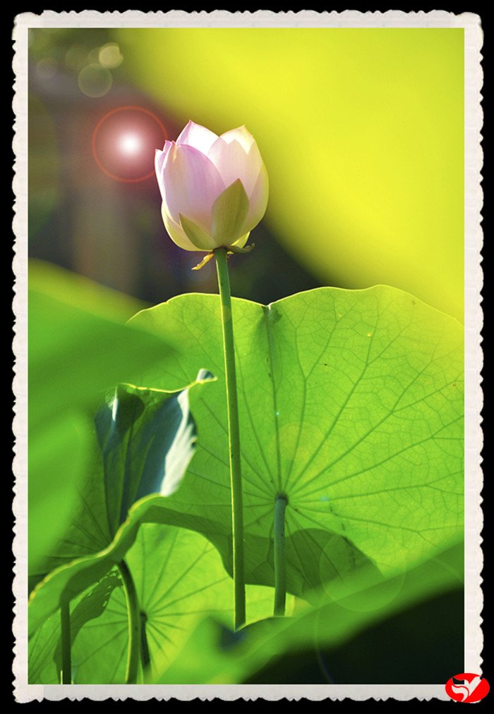 风韵丰满熟妇啪啪区老熟熟女