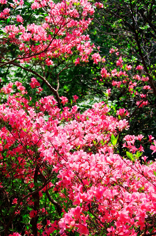 风韵丰满熟妇啪啪区老熟熟女