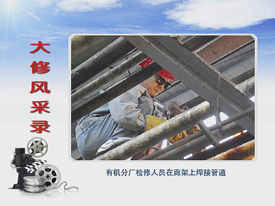 风韵丰满熟妇啪啪区老熟熟女