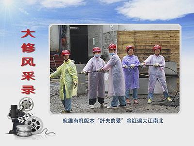 风韵丰满熟妇啪啪区老熟熟女