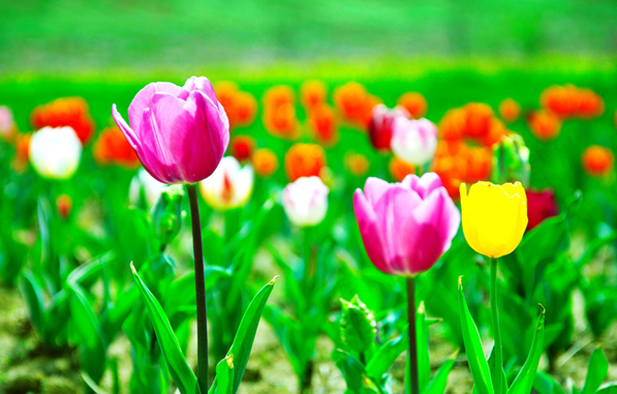 风韵丰满熟妇啪啪区老熟熟女