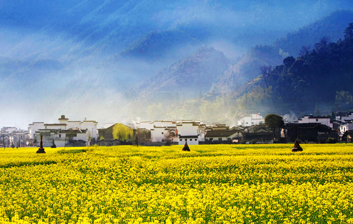 风韵丰满熟妇啪啪区老熟熟女