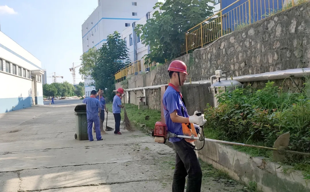 风韵丰满熟妇啪啪区老熟熟女