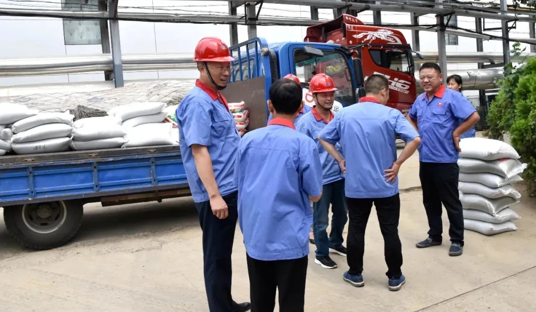 风韵丰满熟妇啪啪区老熟熟女