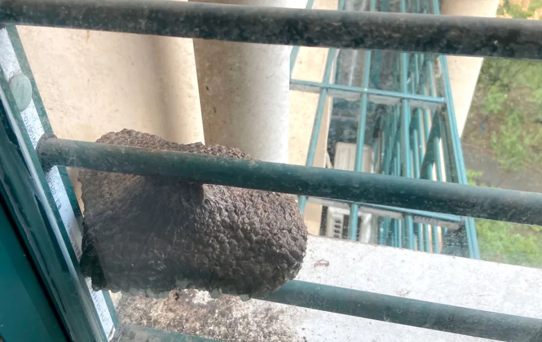 风韵丰满熟妇啪啪区老熟熟女